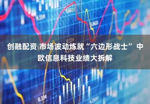 创融配资 市场波动炼就“六边形战士” 中欧信息科技业绩大拆解
